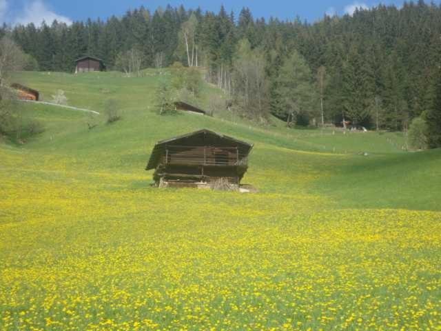 Appartementhaus Eberharter Hart im Zillertal Exteriér fotografie