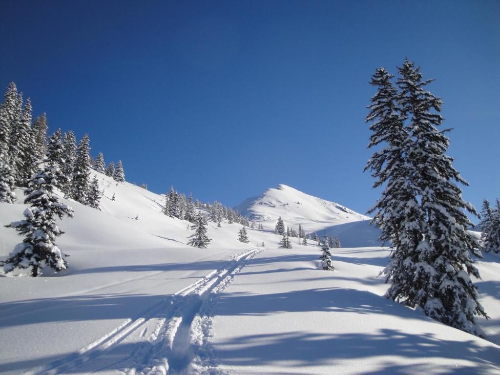 Appartementhaus Eberharter Hart im Zillertal Exteriér fotografie